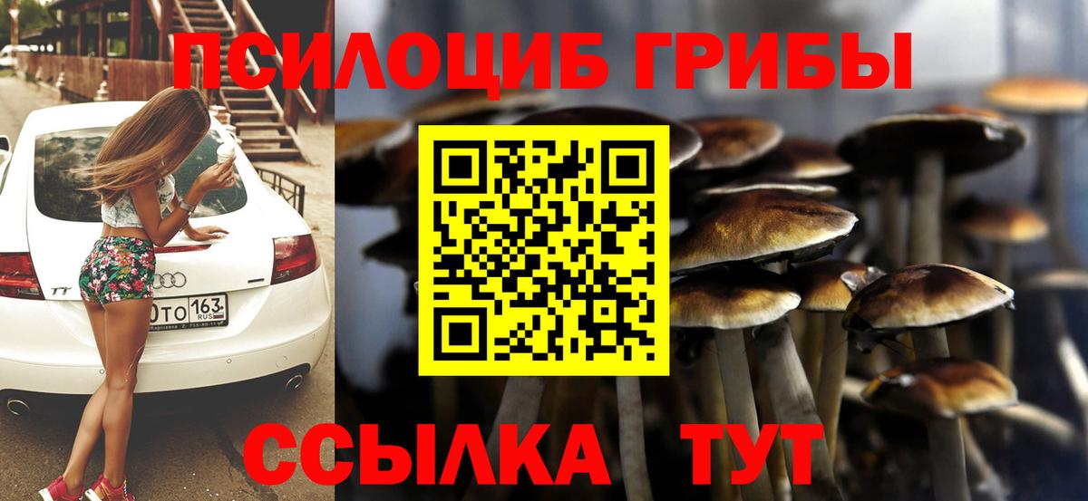 Псилоцибиновые грибы Psilocybine cubensis Отрадный