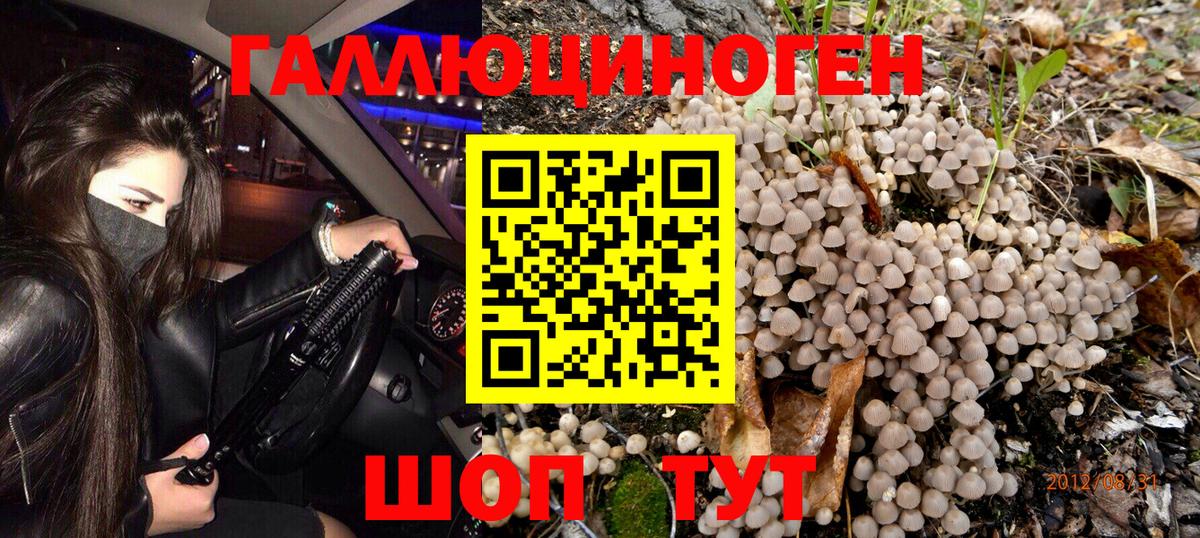 Отрадный  Галлюциногенные грибы Magic Shrooms  что такое наркотик  Вход с VPN  Псилоцибиновые грибы ЛСД 