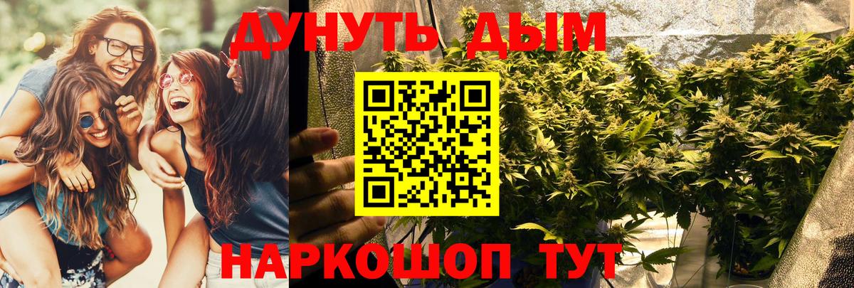 Бошки Шишки VHQ Отрадный